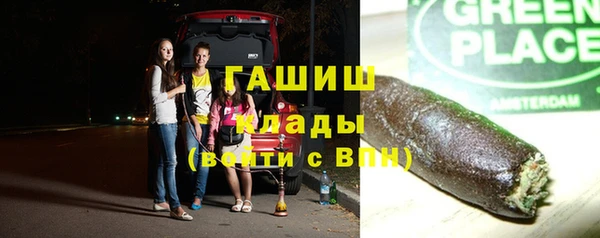 прущие грибы Армянск