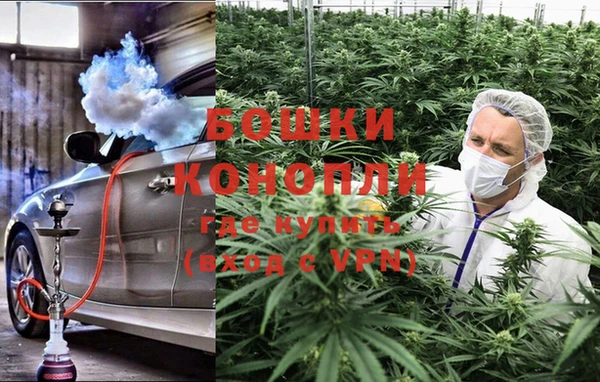 каннабис Аркадак