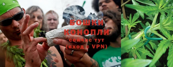 прущие грибы Армянск