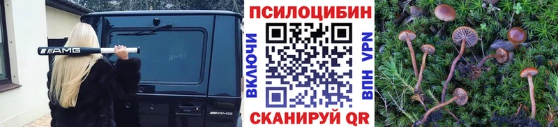 Псилоцибиновые грибы прущие грибы Светлоград